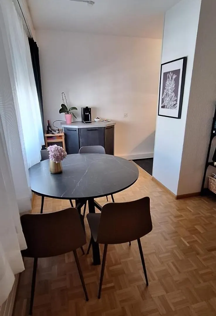 Central 2 Room Apartment Near Sbb Basileia 0*,  Suíça